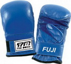 Punching Mitts